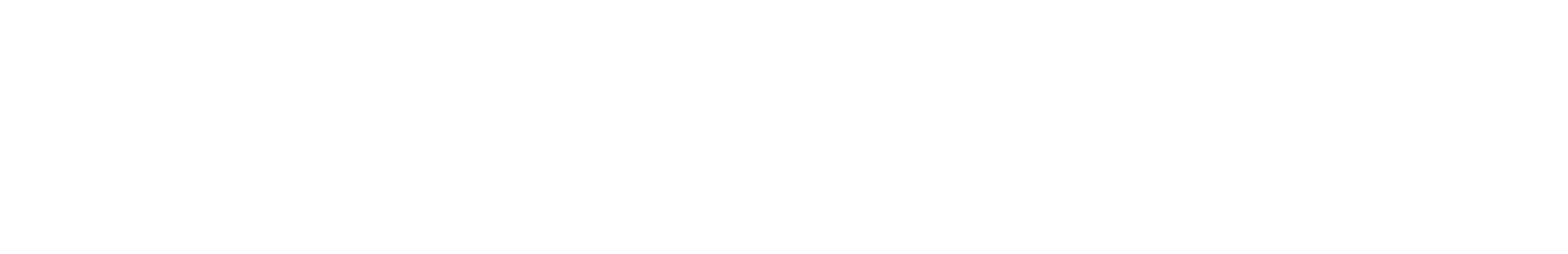 Dutch Body Armor Logo White