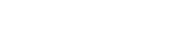 Logo Velcro